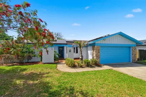2816 Rustic Oaks Dr, Palm Harbor, FL 34684