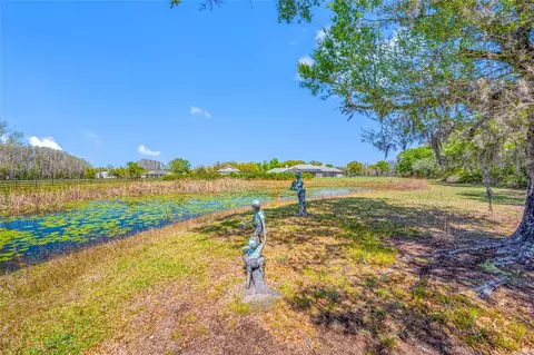 Exterior - 11939 Pasco Trails Blvd, Spring Hill, FL 34610 photo 8 of 8