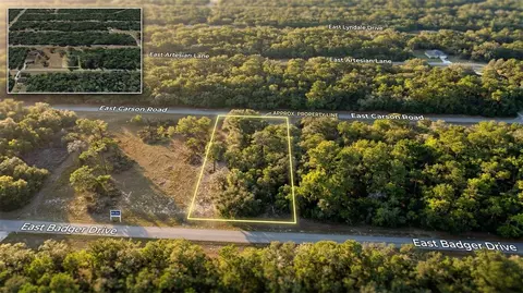 1728 E Badger Dr, Dunnellon, FL 34434