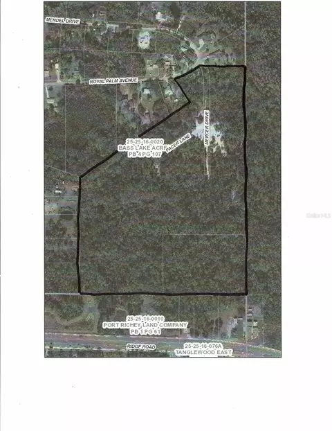 0 Royal Palm Ave, New Port Richey, FL 34654
