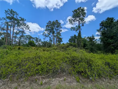 784 Washington Blvd NE, Lake Placid, FL 33852