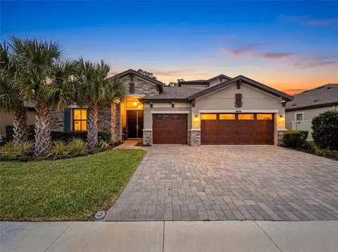 21931 Woodshadow Way, Land O Lakes, FL 34637
