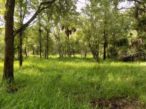 5001 Whippoorwill Dr, Holiday, FL 34690