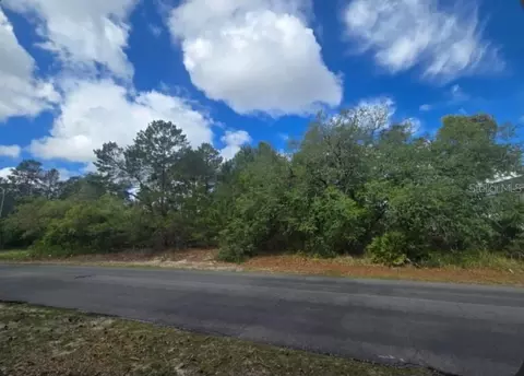 4113 Portillo Rd, Spring Hill, FL 34608