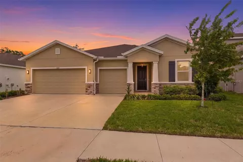 3787 Autumn Amber Dr, Spring Hill, FL 34609