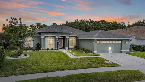 1455 Winding Willow Dr, Trinity, FL 34655