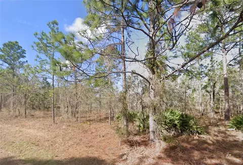 13351 Schick Ave, Brooksville, FL 34614