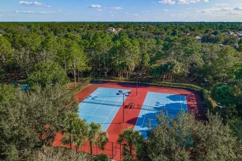 View/Area - 4269 Bramblewood Loop, Spring Hill, FL 34609 photo 2 of 2