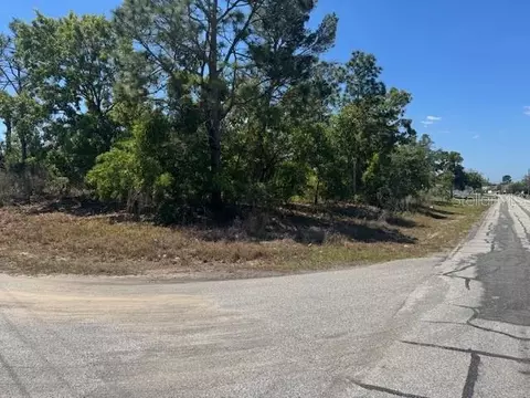 11364 Patch St, Spring Hill, FL 34609 photo 3