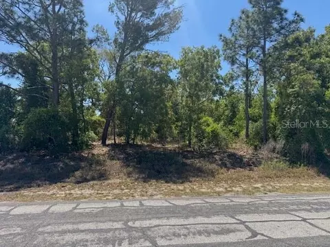 11364 Patch St, Spring Hill, FL 34609 photo 7