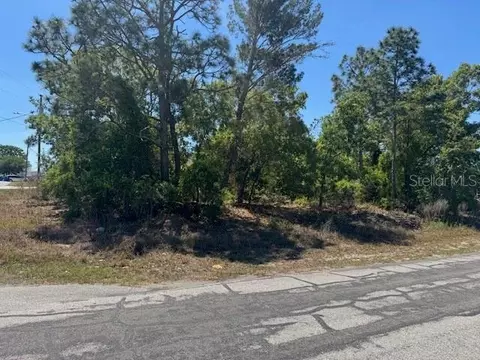 11364 Patch St, Spring Hill, FL 34609 photo 6