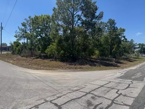 11364 Patch St, Spring Hill, FL 34609 photo 5