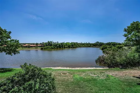 View/Area - 10706 Ruffino Ct, Trinity, FL 34655 photo 3 of 14