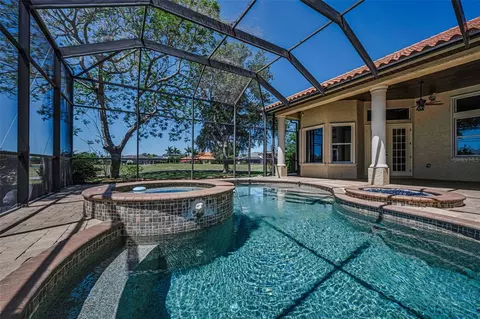 Exterior - 10706 Ruffino Ct, Trinity, FL 34655 photo 11 of 21