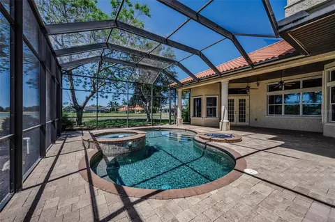 Exterior - 10706 Ruffino Ct, Trinity, FL 34655 photo 9 of 21