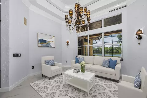 Living - 10706 Ruffino Ct, Trinity, FL 34655 photo 1 of 3