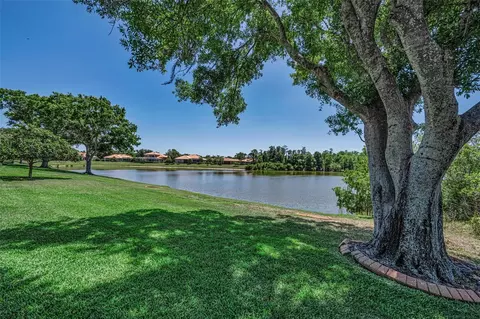 Exterior - 10706 Ruffino Ct, Trinity, FL 34655 photo 14 of 21