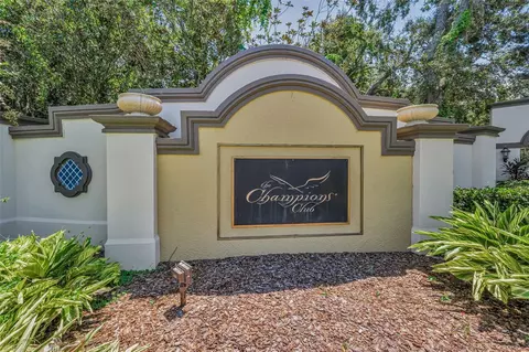View/Area - 10706 Ruffino Ct, Trinity, FL 34655 photo 9 of 14