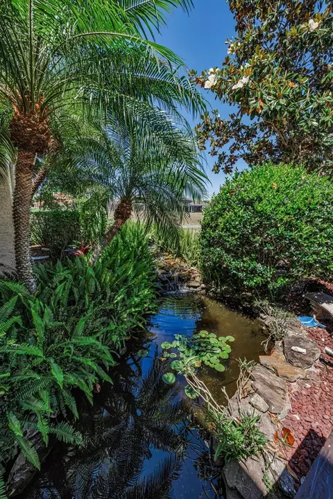 Other - 10706 Ruffino Ct, Trinity, FL 34655 photo 22 of 30