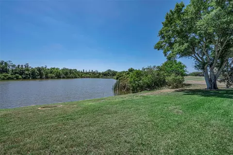 View/Area - 10706 Ruffino Ct, Trinity, FL 34655 photo 8 of 14