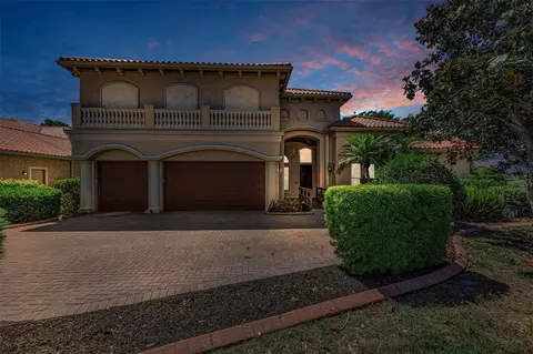 Exterior - 10706 Ruffino Ct, Trinity, FL 34655 photo 3 of 21