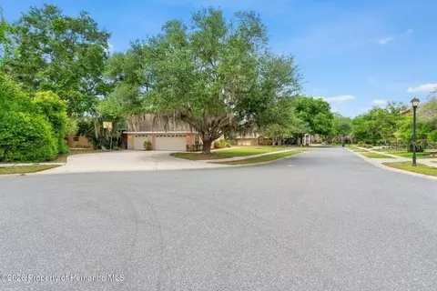 Other - 6153 New Osprey Pt, Weeki Wachee, FL 34607 photo 12 of 12