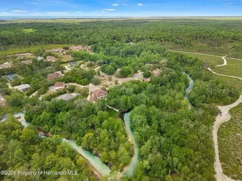 View/Area - 6153 New Osprey Pt, Weeki Wachee, FL 34607 photo 4 of 6