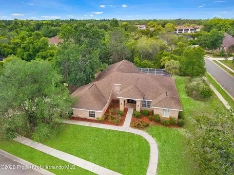 View/Area - 6153 New Osprey Pt, Weeki Wachee, FL 34607 photo 3 of 6