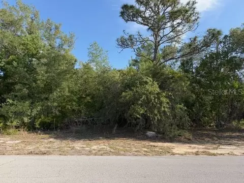 4205 Parkhurst Ln, Spring Hill, FL 34608