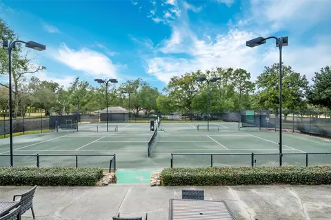 View/Area - 3975 N Grayhawk Loop, Lecanto, FL 34461 photo 10 of 14