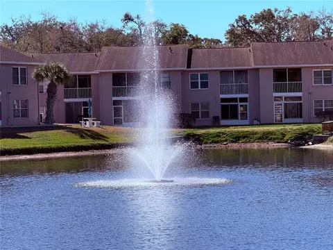 6519 Spring Flower Dr #22, New Port Richey, FL 34653