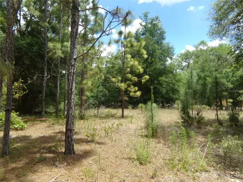 000 Norman St, Webster, FL 33597 photo 4