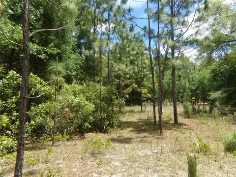 000 Norman St, Webster, FL 33597 photo 3
