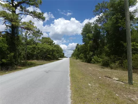 000 Norman St, Webster, FL 33597 photo 5