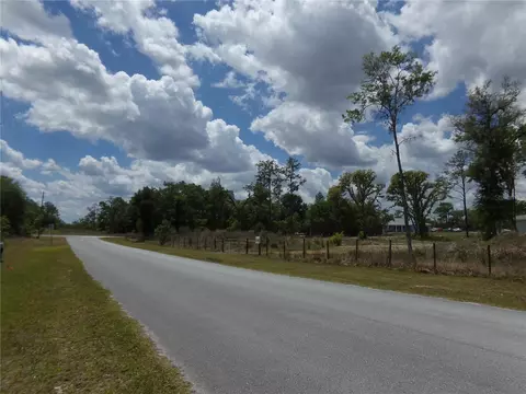 000 Norman St, Webster, FL 33597 photo 6