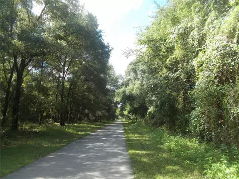 000 Norman St, Webster, FL 33597 photo 12
