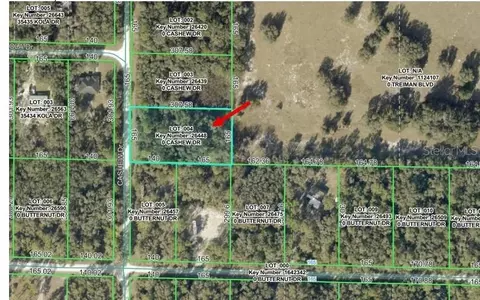 00 Cashew Dr, Webster, FL 33597