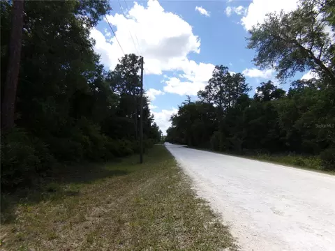 00 Cashew Dr, Webster, FL 33597 photo 4