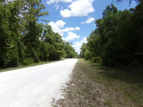 00 Cashew Dr, Webster, FL 33597 photo 5