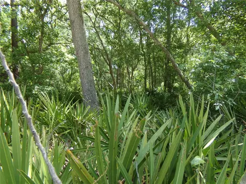 00 Cashew Dr, Webster, FL 33597 photo 2