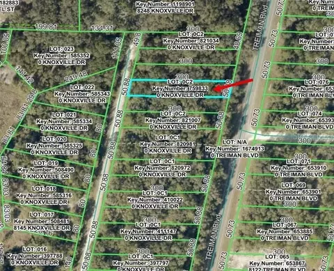 Knoxville Drive, Webster, FL 33597