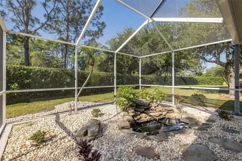Exterior - 11428 Hidden Cove Ct, Trinity, FL 34655 photo 6 of 23