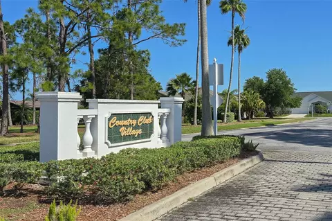 View/Area - 11428 Hidden Cove Ct, Trinity, FL 34655 photo 7 of 24