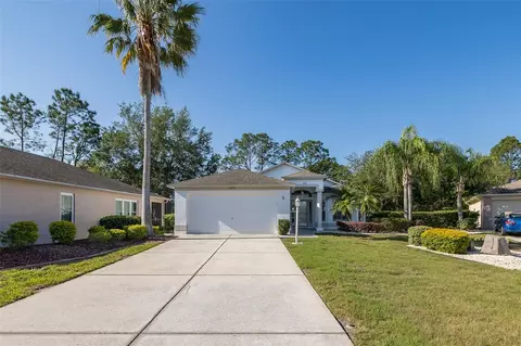 Exterior - 11428 Hidden Cove Ct, Trinity, FL 34655 photo 19 of 23