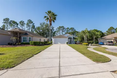 Exterior - 11428 Hidden Cove Ct, Trinity, FL 34655 photo 17 of 23