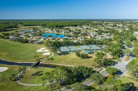 View/Area - 11428 Hidden Cove Ct, Trinity, FL 34655 photo 14 of 24