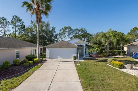 11428 Hidden Cove Ct, Trinity, FL 34655
