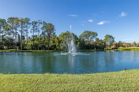 View/Area - 11428 Hidden Cove Ct, Trinity, FL 34655 photo 21 of 24