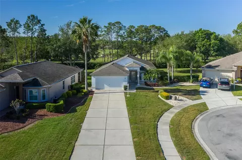 View/Area - 11428 Hidden Cove Ct, Trinity, FL 34655 photo 6 of 24