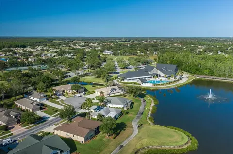 View/Area - 11428 Hidden Cove Ct, Trinity, FL 34655 photo 13 of 24